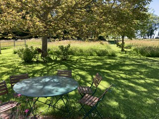 Vakantiehuis Ouville-la-Rivière Buitenaudio-opname 18
