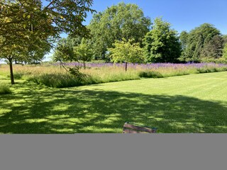 Vakantiehuis Ouville-la-Rivière Buitenaudio-opname 20