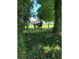 Casa per le vacanze Ouville-la-Rivière  46