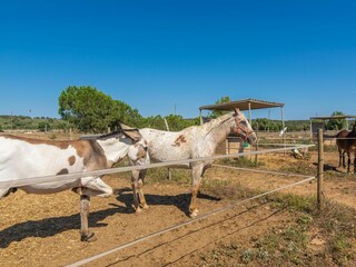 Casa per le vacanze Campos Registrazione all'aperto 19
