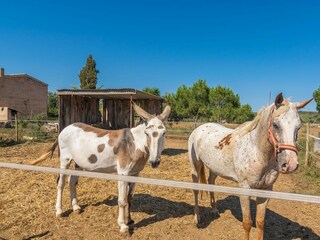 Casa per le vacanze Campos Registrazione all'aperto 21