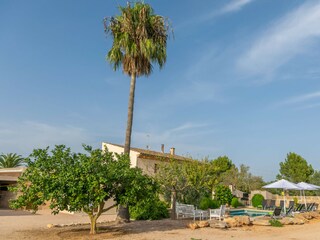 Villa Algaida Grabación al aire libre 30