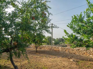 Villa Algaida Registrazione all'aperto 32