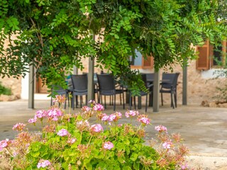 Villa Llucmajor Registrazione all'aperto 14