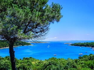 Casa per le vacanze Svetvinčenat Ambiente 38