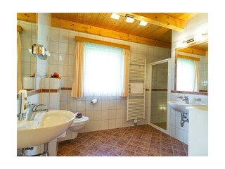 Appartamento Altaussee Caratteristiche 31