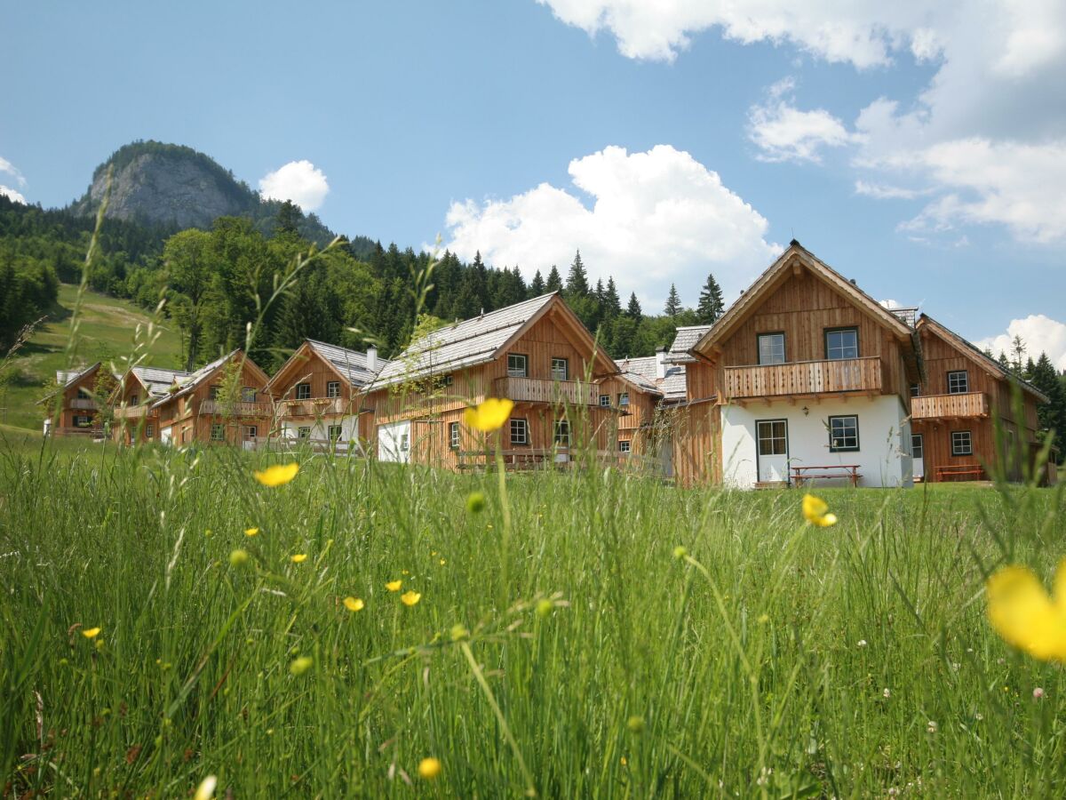 Chalets im Frühling