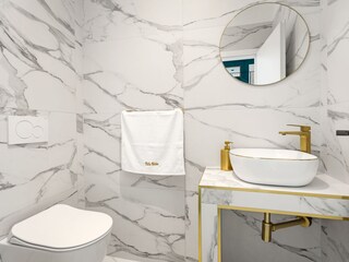 Villa Vodnjan Caratteristiche 40