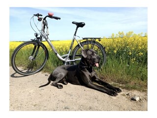 Schöne Radwanderwege für Hund und Herrchen