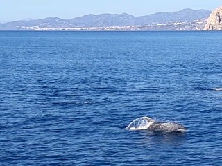 Appartement de vacances La Herradura Environnement 36