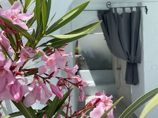 Appartamento per vacanze La Herradura Registrazione all'aperto 5