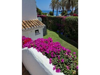 Holiday apartment La Herradura Outdoor Recording 15