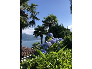 Appartamento per vacanze Brezzo di Bedero Registrazione all'aperto 7