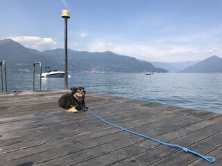 Appartamento per vacanze Brezzo di Bedero Registrazione all'aperto 13