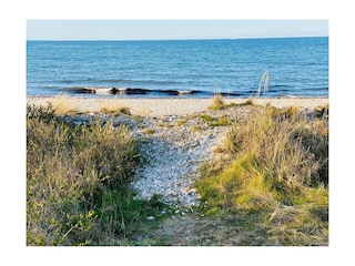 Maasholmer Strand fussläufig erreichbar