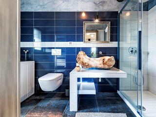 Villa Kanfanar Caratteristiche 27