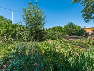 Casa per le vacanze Tar Ambiente 30