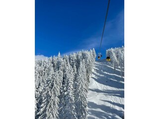 Appartamento per vacanze Hinterthal Ambiente 35