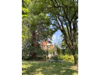 Villa Weißenburg im Elsass Buitenaudio-opname 4