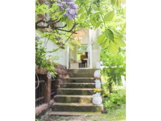Villa Weißenburg im Elsass Buitenaudio-opname 7