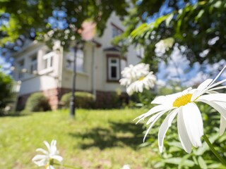 Villa Weißenburg im Elsass Buitenaudio-opname 10