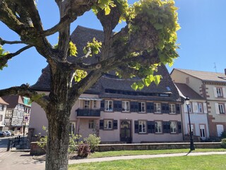 Villa Weißenburg im Elsass Omgeving 32