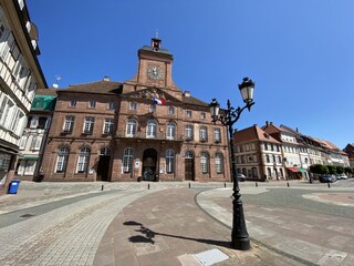 Villa Weißenburg im Elsass Omgeving 33