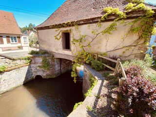Villa Weißenburg im Elsass Omgeving 34