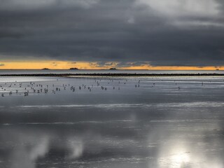 Wattenmeer, am Horizont Hallig Hooge
