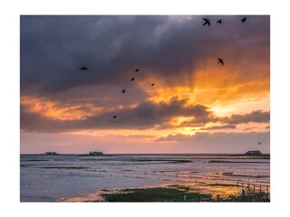 Morgenblick aus dem Schlafzimmer (bei Landunter)