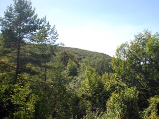 Balkonblick in die Natur