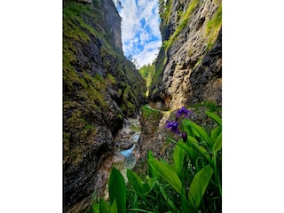 Gleich nebenan die Almbachklamm