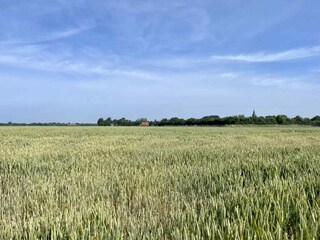 Bungalow Noordwelle Ambiente 19