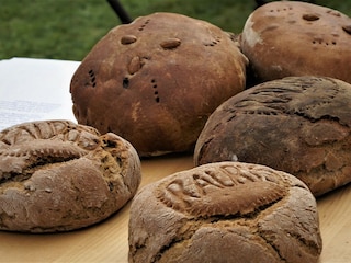 Holiday apartment Rauris Environment 15