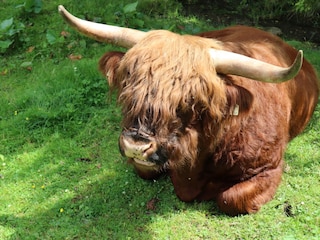 Vakantieappartement Rauris Omgeving 23