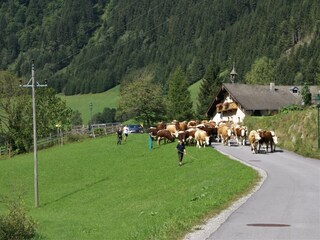 Holiday apartment Rauris Outdoor Recording 4