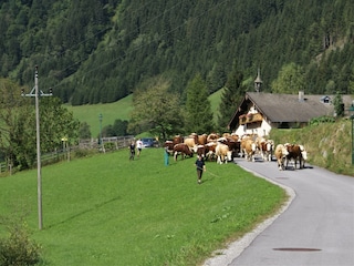 Vakantieappartement Rauris Buitenaudio-opname 4