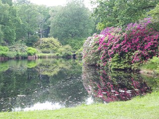 Lütetsburger Park