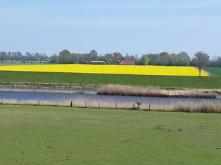 Auf dem Weg nach Greetsiel
