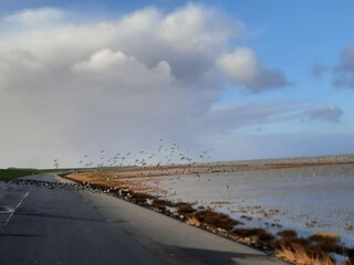 Norddeich