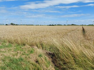 Appartamento per vacanze Hedwigenkoog Ambiente 17