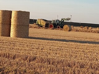 Appartamento per vacanze Hedwigenkoog Ambiente 19