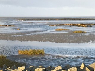 Appartamento per vacanze Hedwigenkoog Ambiente 23