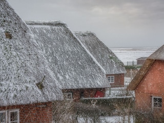 Ferienhaus Hallig Langeneß Umgebung 19