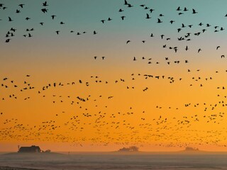 Blick vom Ferienhaus