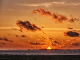 Blick vom Ferienhaus