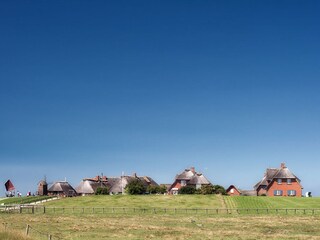 Ferienhaus Hallig Langeneß Umgebung 17