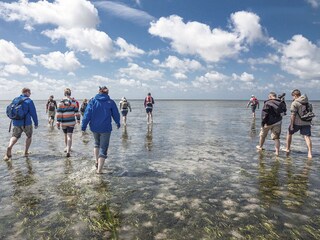 wandern auf dem Meeresgrund