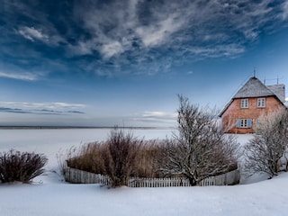 Ferienhaus Hallig Langeneß Außenaufnahme 4