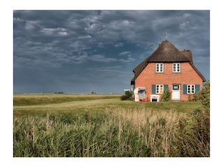 Ferienhaus Hallig Langeneß Umgebung 3